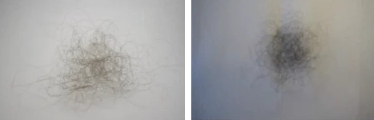 Photo showing 100 hairs from a person with short hair (left) and longer hair (right)