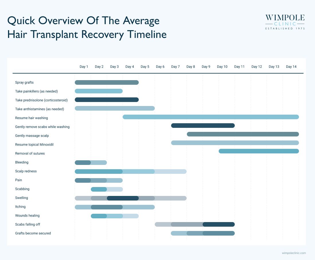 Average hair transplant recovery timeline