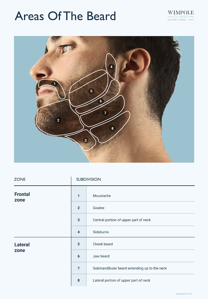 Areas of the beard